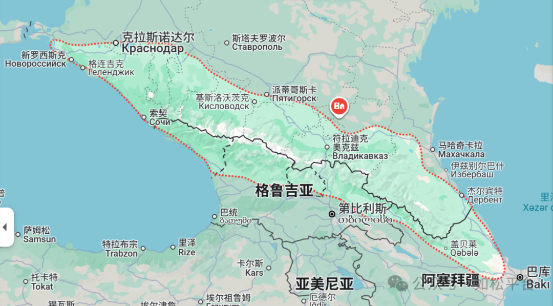 如松：普京，蹦出一只黑天鹅-图片2