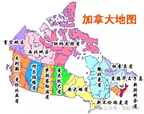 如松：感谢特朗普，关税战之最大赢家