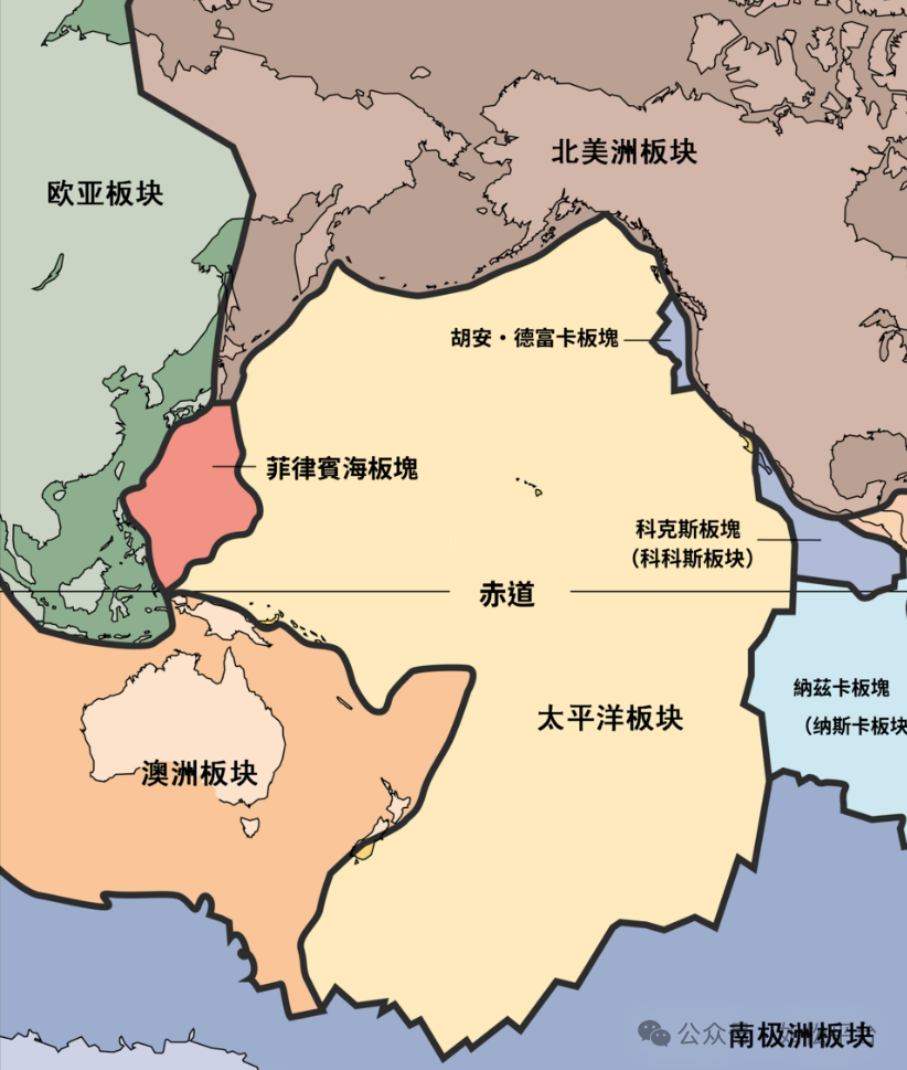 如松：龙树谅之梦，孕育奇迹！-图片5