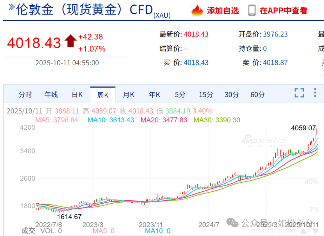 如松：金天鹅，白天鹅，展翅飞翔