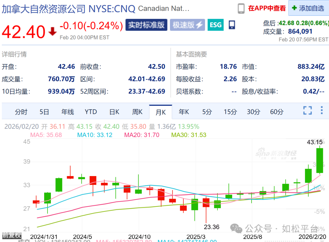 如松：感恩与陪伴-图片6