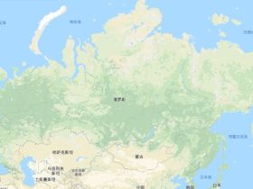 如松 ： 熊半疯
