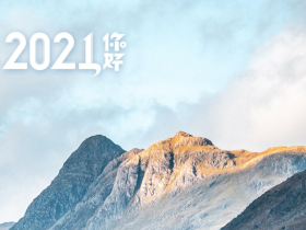 如松：2021，拥抱