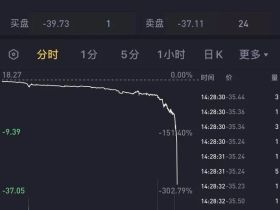如松：2021，芝麻开花