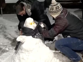如松：冰霜妆南北，风雪映紫嫣