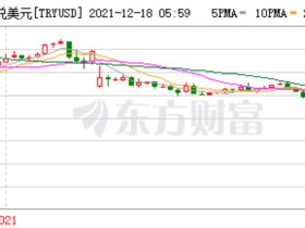 如松：埃尔多安甩锅说，我在抄中国的作业