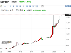 如松：伟大的君主，给世界指明了伟大的方向