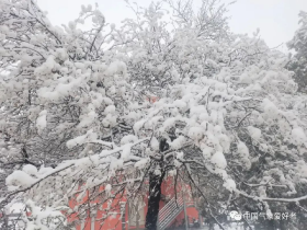 如松：将北极搬到北方？超级倒春寒与超级热浪