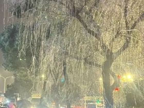 如松：冰雪回家路，诸葛亮从哪里借来的东风？