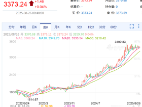 如松：黄金黑天鹅，展翅飞翔？