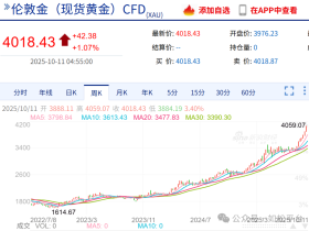 如松：金天鹅，白天鹅，展翅飞翔