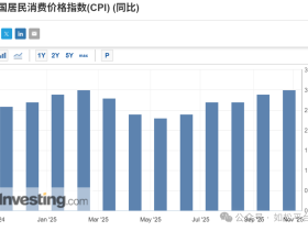如松：黑天鹅突袭！