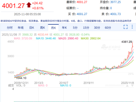 如松：淡然与安静，光芒闪耀在内心