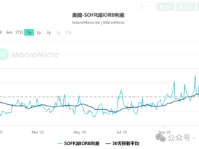 如松：黑天鹅蠢蠢欲动，危机袭来！