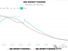 如松：特朗普，提线木偶