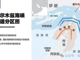 如松：特朗普玩砸了