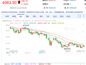 如松:黄金,闪光时分