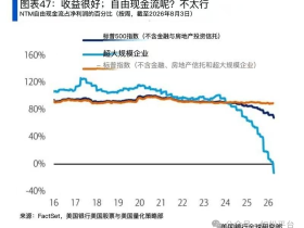 如松：黑、白天鹅徐徐降临，大难临头