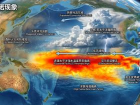 如松：天道无常，大饥荒是怎么练成的
