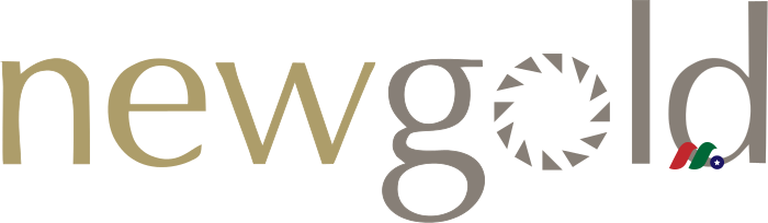 New Gold NGD Logo