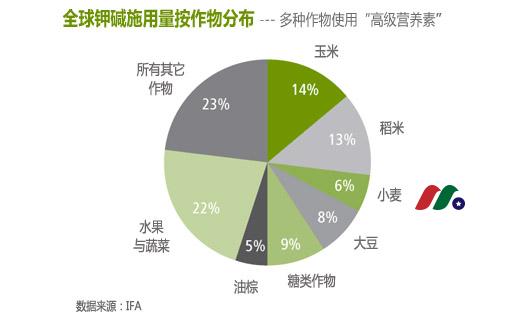 钾肥投资知识:钾碱(即钾肥、钾矿)的形成与开采-图片2