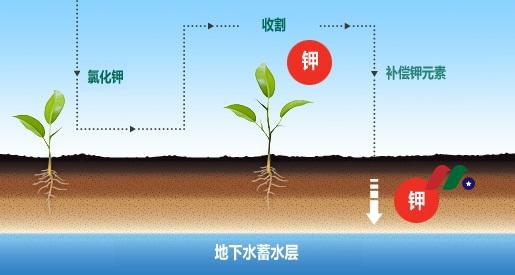 钾肥投资知识:钾碱(即钾肥、钾矿)的形成与开采-图片1