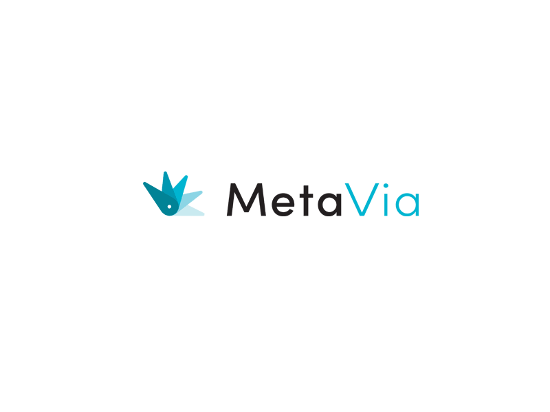 MetaVia | 美股之家 - 港股美股开户投资百科全书 临床阶段的生物技术公司:MetaVia Inc.(MTVA)-图片1
