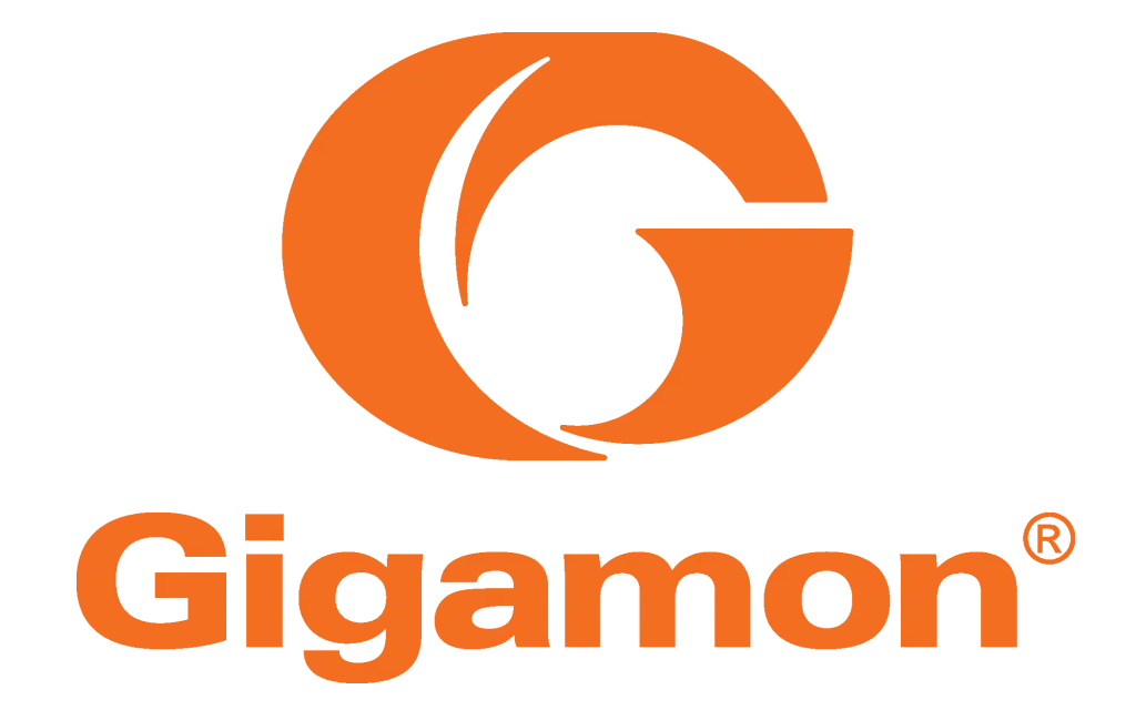Gigamon | 美股之家 - 港股美股开户投资百科全书 智慧网络及数据中心供应商:Gigamon Inc.(GIMO)-图片1