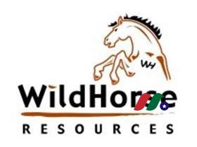 wildhorse-resource-development