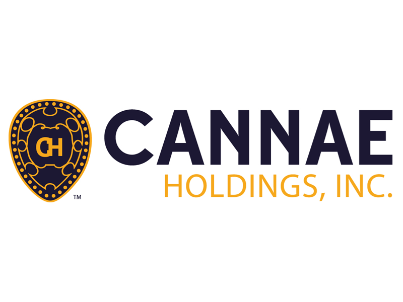 餐饮及医疗投资和管理公司：Cannae Holdings, Inc.(CNNE)