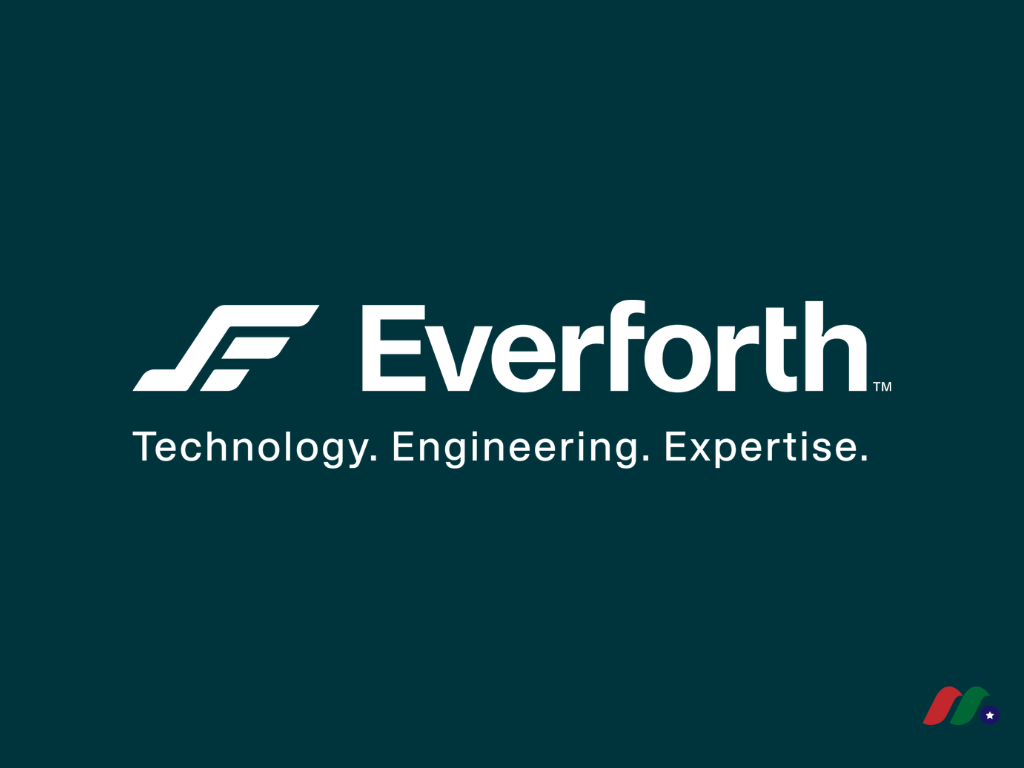全球性技术与数字工程公司：Everforth, Inc.(EFOR)-图片1