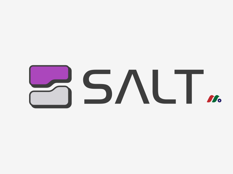 API安全性网络安全初创公司：Salt Security Inc.