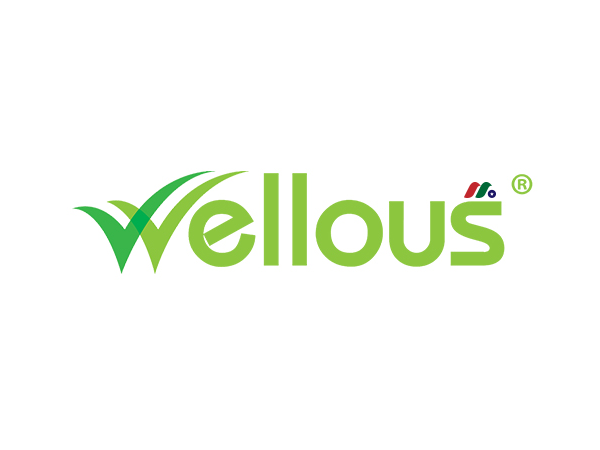 东南亚健康与营养公司：Wellous Group Holdings Limited