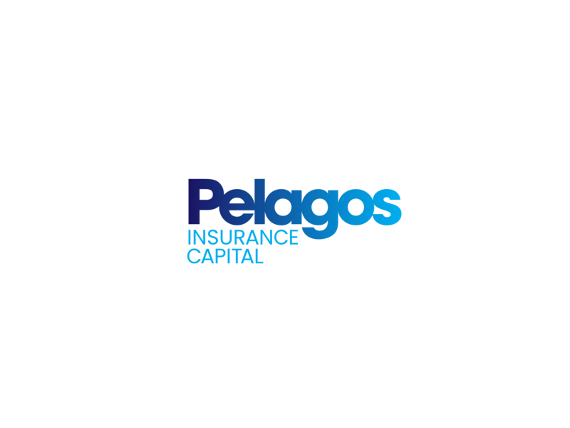 保险及再保险解决方案提供商：Pelagos Insurance Capital Limited(PLGO)-图片1
