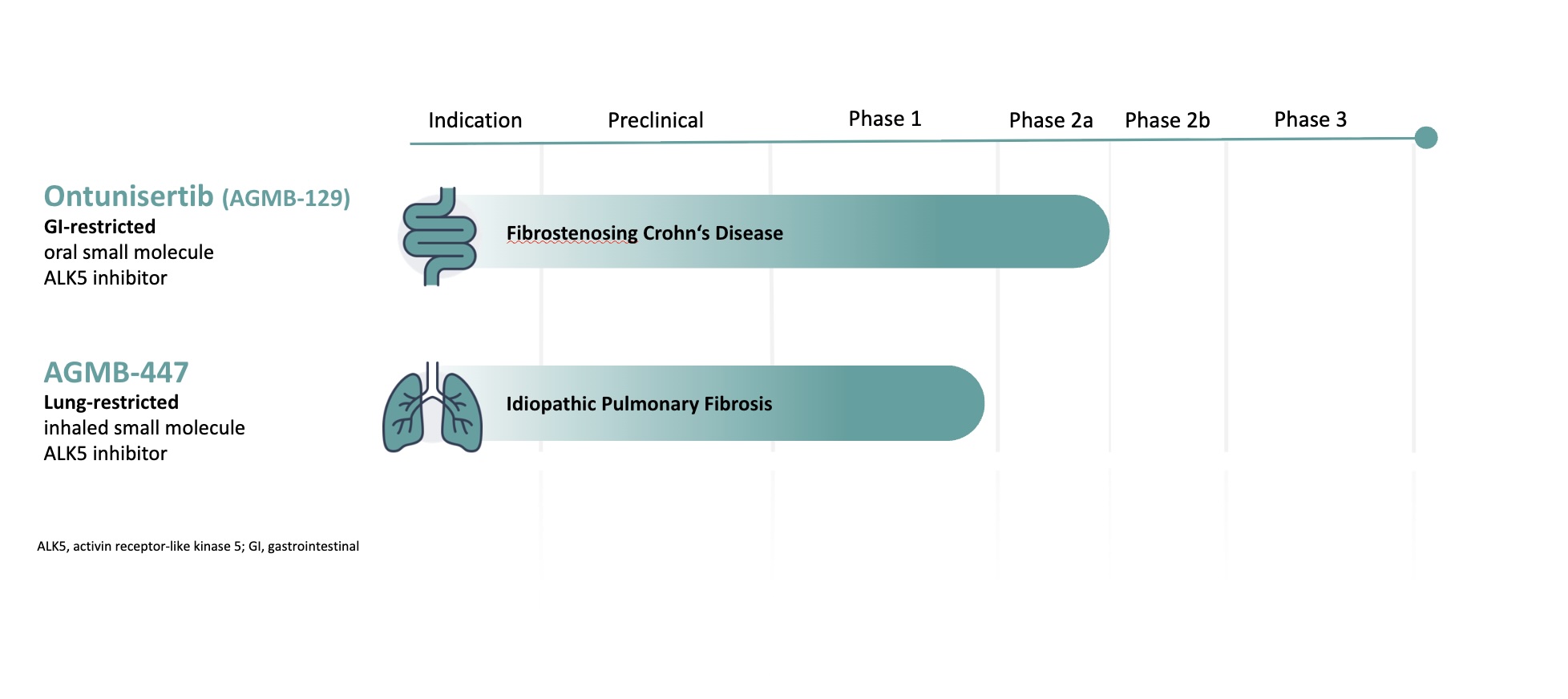辉瑞支持的比利时免疫学和炎症生物技术公司：AgomAb Therapeutics N.V.(AGMB)-图片2