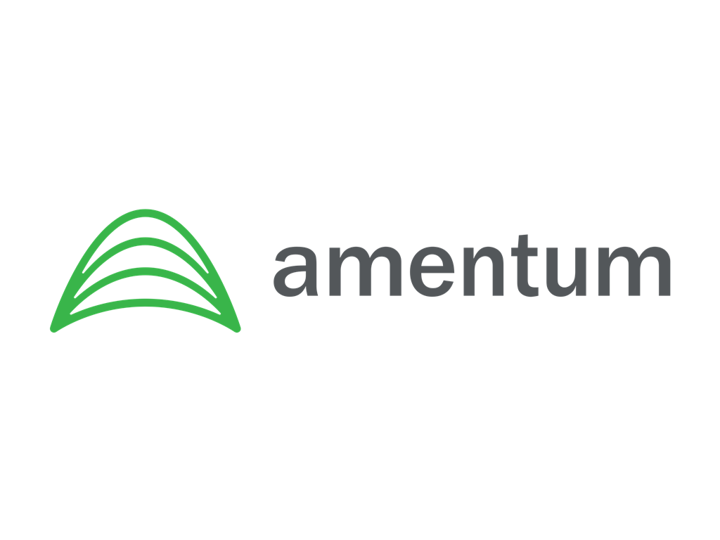 工程和技术解决方案公司：Amentum Holdings, Inc.(AMTM)-图片1