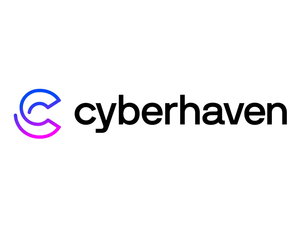 人工智能数据安全公司：Cyberhaven, Inc.