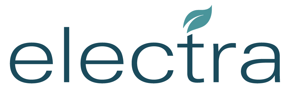 美国新型钢铁公司：Electrasteel, Inc. (Electra)-图片2
