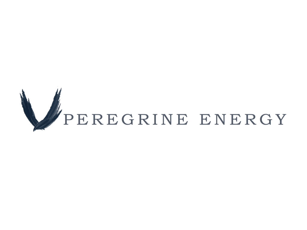 可再生能源资产收购开发和运营公司：Peregrine Energy Solutions