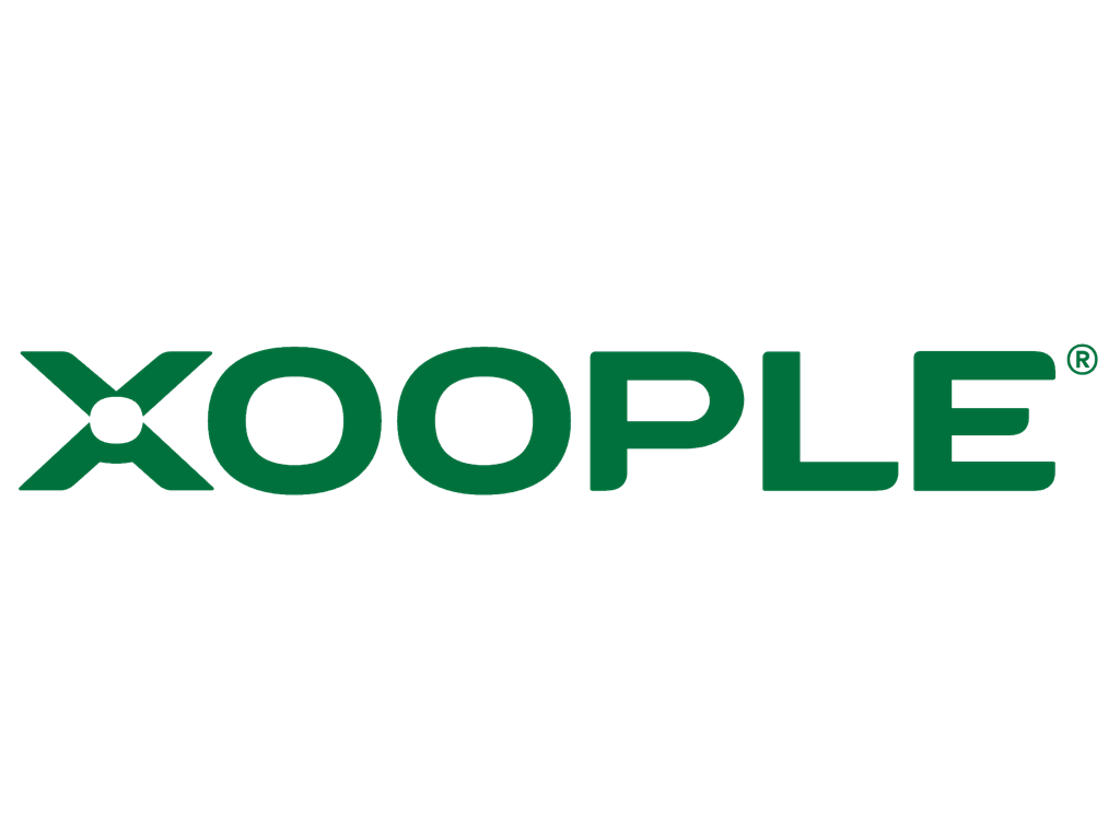 西班牙企业级地球数据基础设施公司：Xoople S.L.