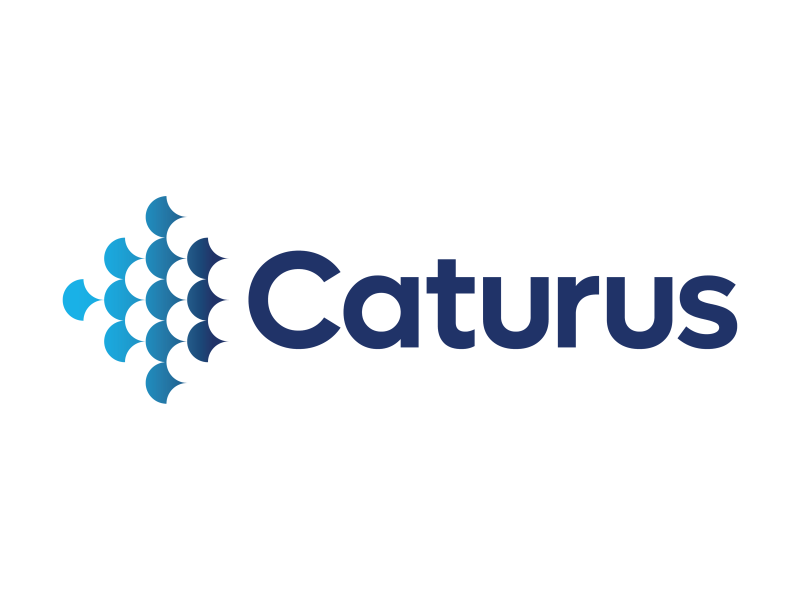 Caturus | 美股之家 - 港股美股开户投资百科全书 天然气及液化天然气勘探与生产服务公司:Caturus LLC