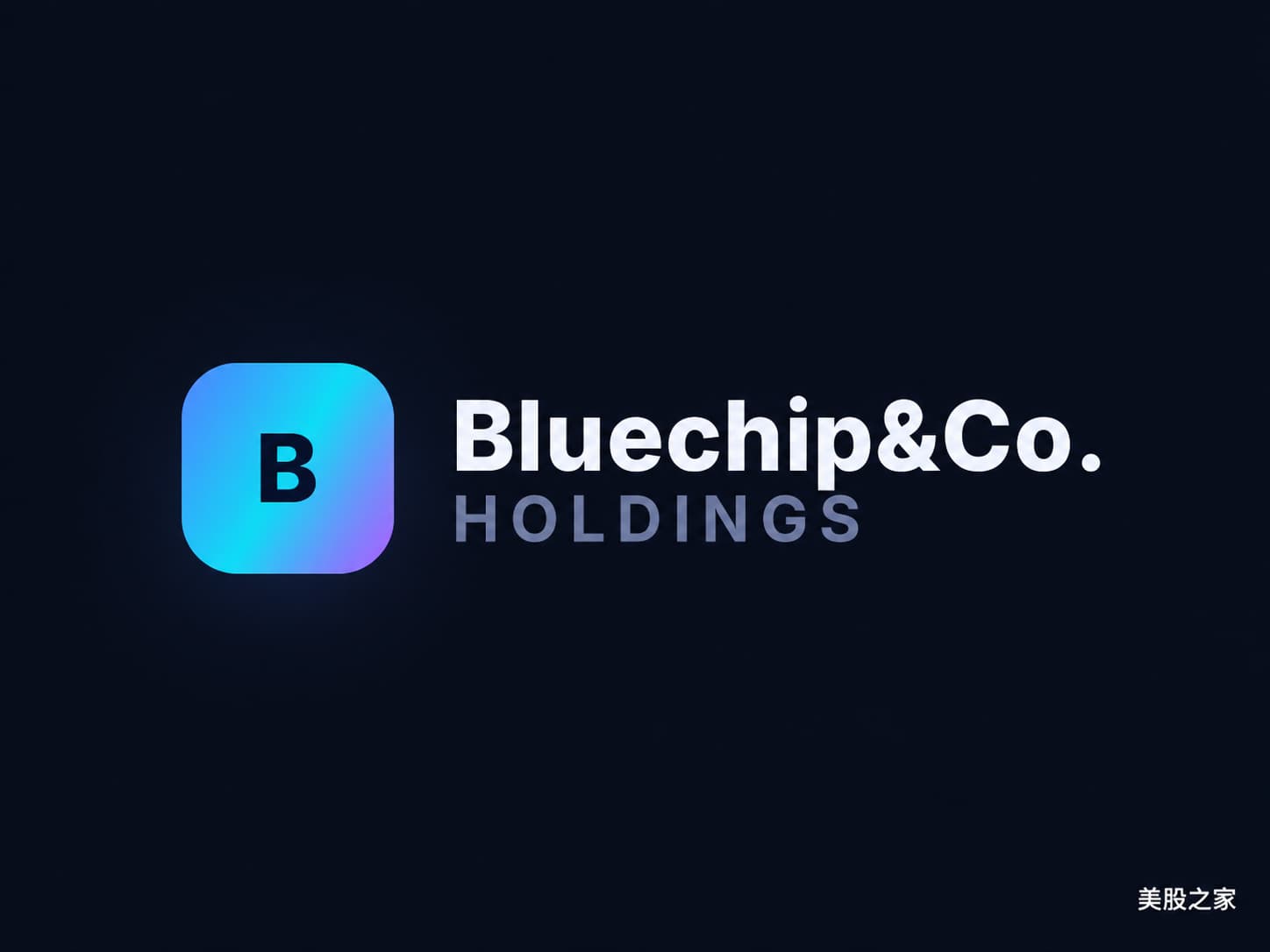 Bluechip Co Holdings | 美股之家 - 港股美股开户投资百科全书 多元化金融科技及数据服务控股公司:Bluechip & Co. Holdings(BCCH)-图片1