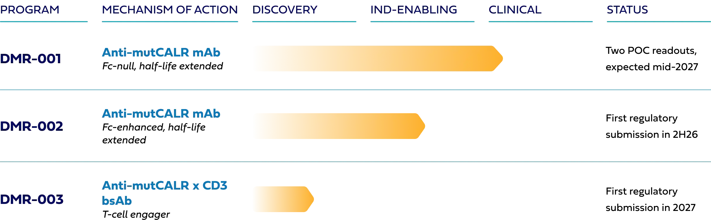 血液系统疾病生物制药公司：Damora Therapeutics, Inc.(DMRA)-图片2